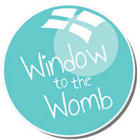 Window To The Womb voucher